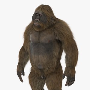 Gigantopithecus in Standing Pose Fur
