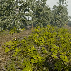 forest 7 3D model