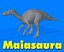 Maiasaura Dinosaur