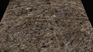 3D forest ground cutted trees wood debris part3 photogrammetry