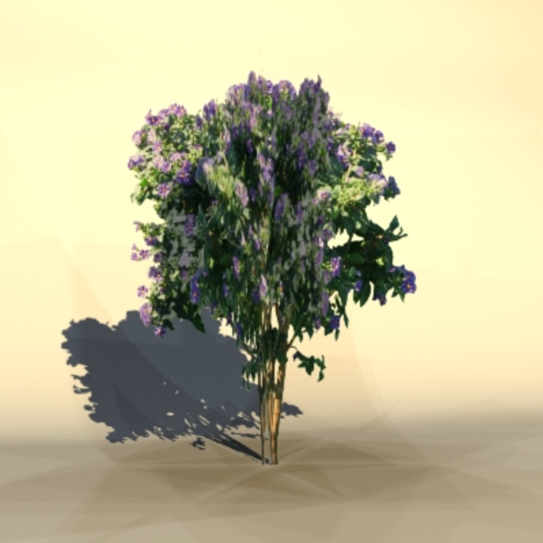 3d Model Bushes Pc Ps2