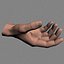 HAND1