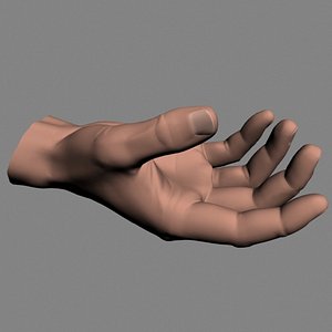 Riged Hand