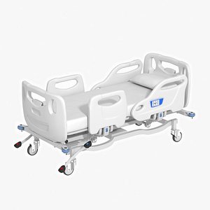 Hospital Bed(1)