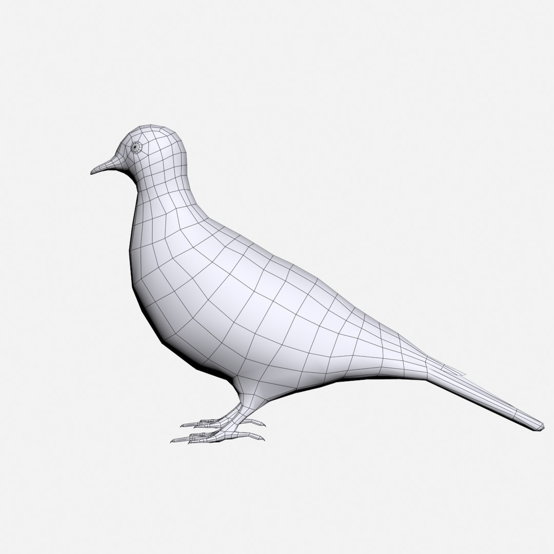 mourning dove max https://p.turbosquid.com/ts-thumb/zG/q3X19y/IOqzOrSn/7/jpg/1483638629/1920x1080/fit_q87/a8e26ff392b698d40838cfb4612d88dcaf9f8acf/7.jpg