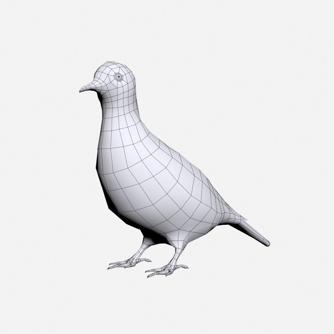 mourning dove max https://p.turbosquid.com/ts-thumb/zG/q3X19y/OxR7hV5V/6/jpg/1483638629/1920x1080/fit_q87/2fb18c806718a904fc936bed20fc659cc15b92ad/6.jpg