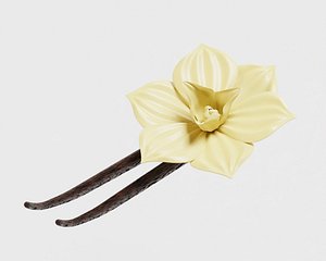 3D Vanilla flower