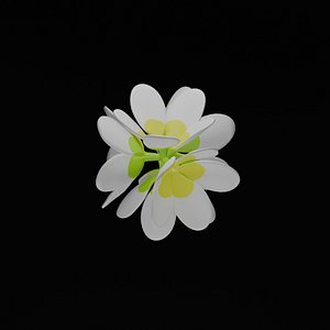 3D model Japanese Frangipani Flower