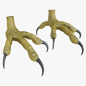 LEG-005 Rigged Bird Feet 3D