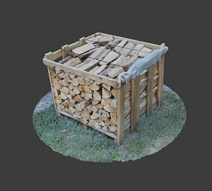 3D model wood heap scanned