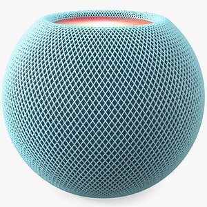 Voice Assistant Speaker