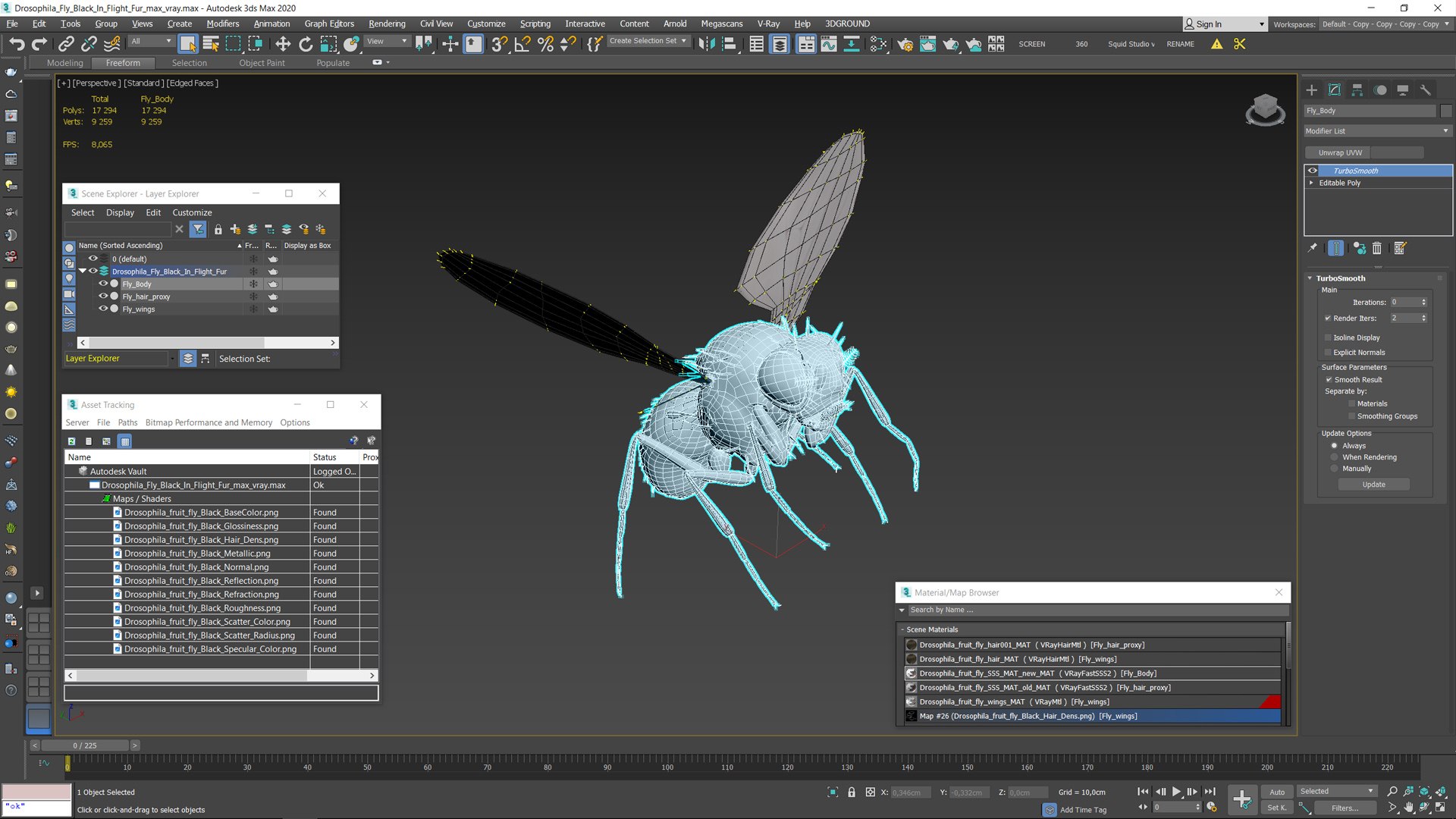 Drosophila Fly Black In Flight Fur model https://p.turbosquid.com/ts-thumb/zH/FvlMm4/3W/drosophila_fly_black_in_flight_fur_016/jpg/1739485689/1920x1080/fit_q87/1c41b2b1e8f3c388ac5a79ee34d2ae1d27f1a5a5/drosophila_fly_black_in_flight_fur_016.jpg