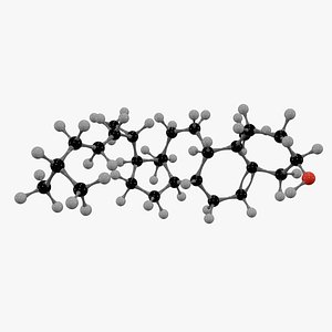 3D model Cholesterol Molecule