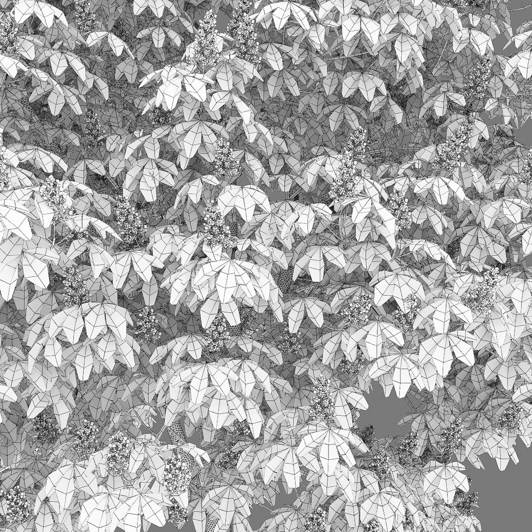 3D Model Flowering Chestnut Trees 1 - TurboSquid 1593622