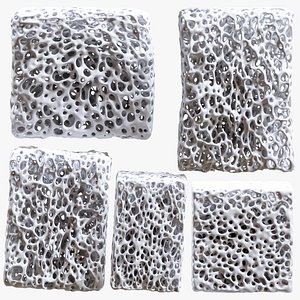 Bone Sponge Printable model