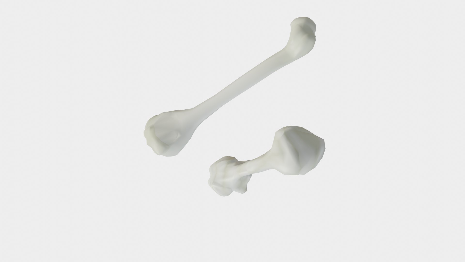 3D bones - TurboSquid 1767463