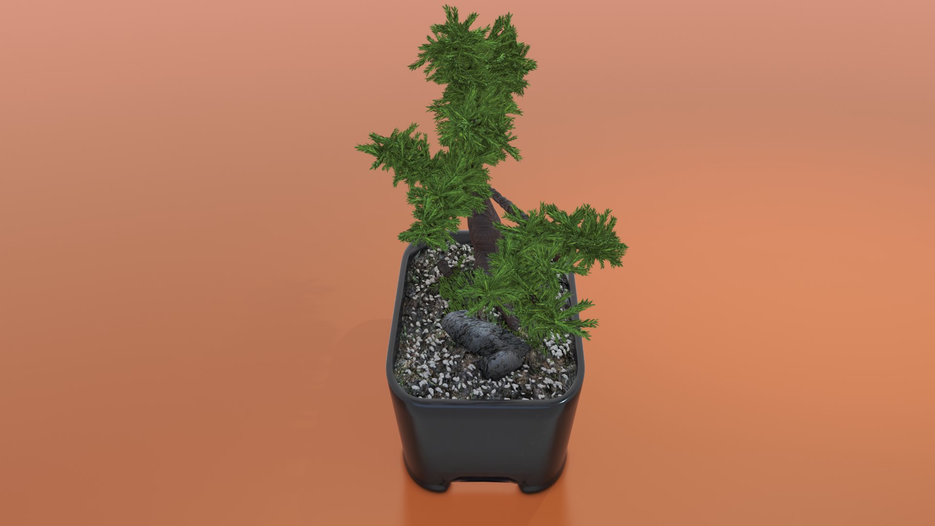 Bonsai model https://p.turbosquid.com/ts-thumb/zH/ebG6dq/Dw/bonsai3/png/1662300228/1920x1080/fit_q87/16b440279cddfdb37bffed9e834f98487e7465f1/bonsai3.jpg