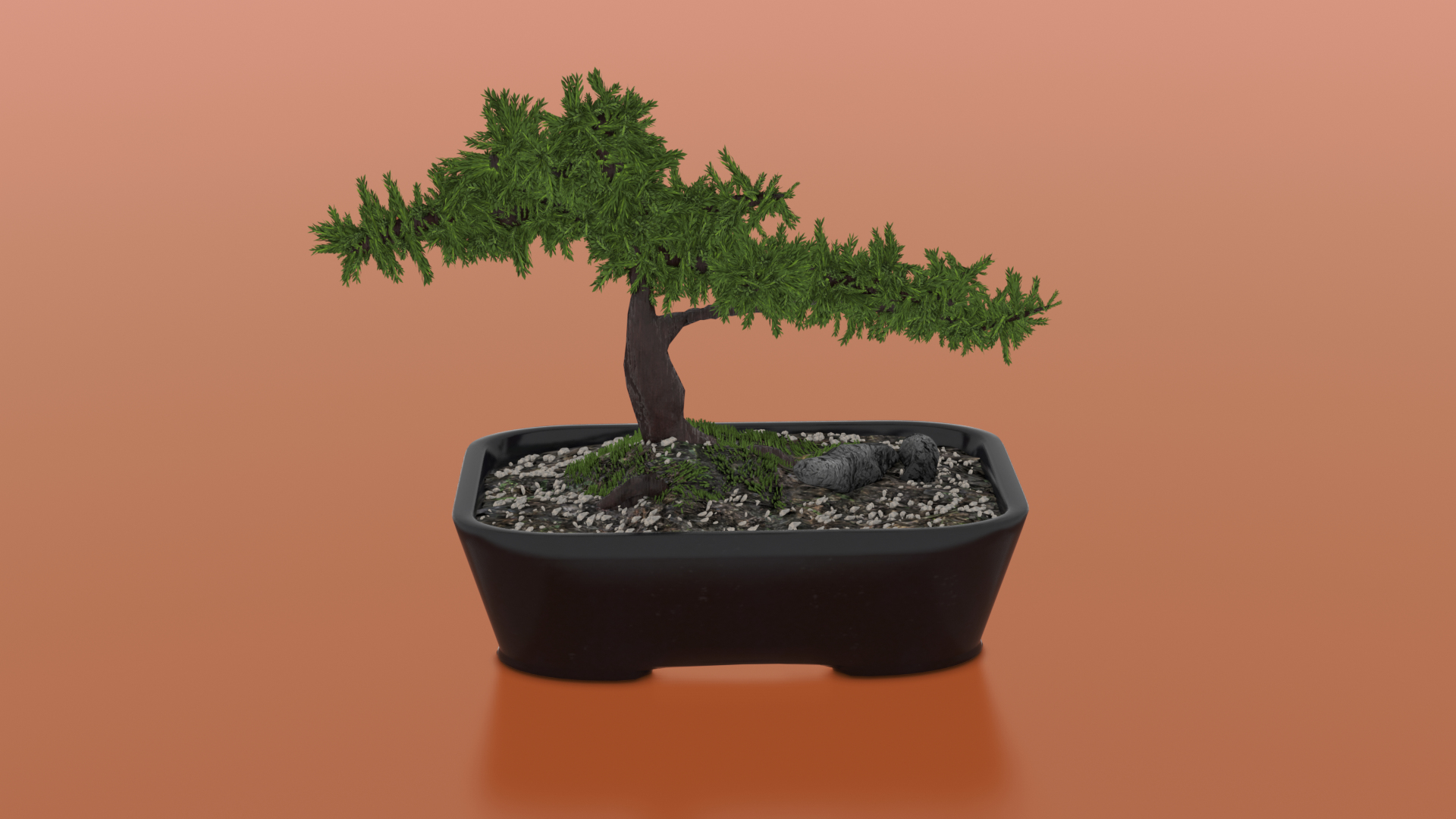 Bonsai model https://p.turbosquid.com/ts-thumb/zH/ebG6dq/Lk/bonsai/png/1662301159/1920x1080/turn_fit_q99/a58b2bc37433f00a259881898b00b1838741da4e/bonsai-1.jpg