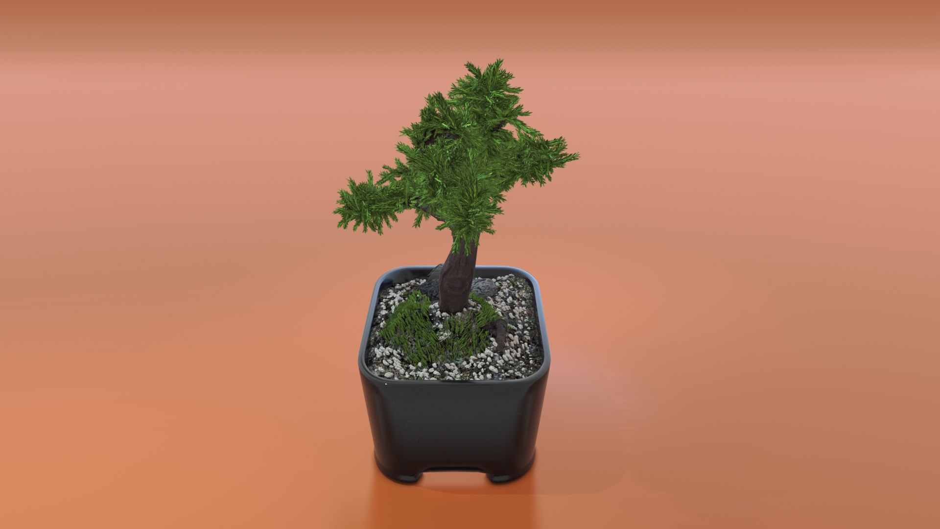 Bonsai model https://p.turbosquid.com/ts-thumb/zH/ebG6dq/Nk/bonsai1/png/1662300228/1920x1080/fit_q87/46dc72d403471e47f67cf120c74d2cadb7a6d181/bonsai1.jpg