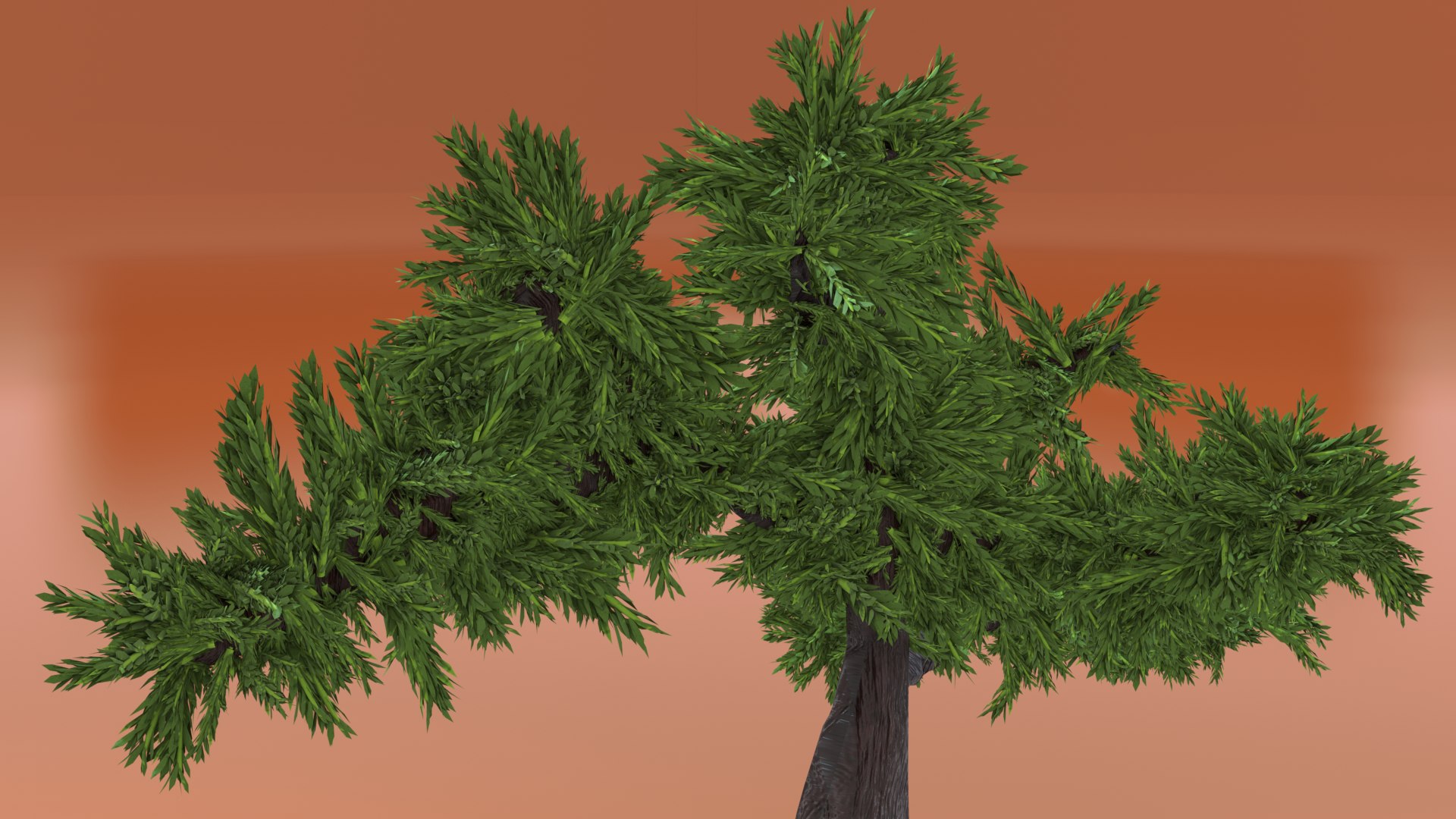 Bonsai model https://p.turbosquid.com/ts-thumb/zH/ebG6dq/XC/bonsai5/png/1662300229/1920x1080/fit_q87/ae09f36912b72ecca552ab48701b04be63ef1c8a/bonsai5.jpg