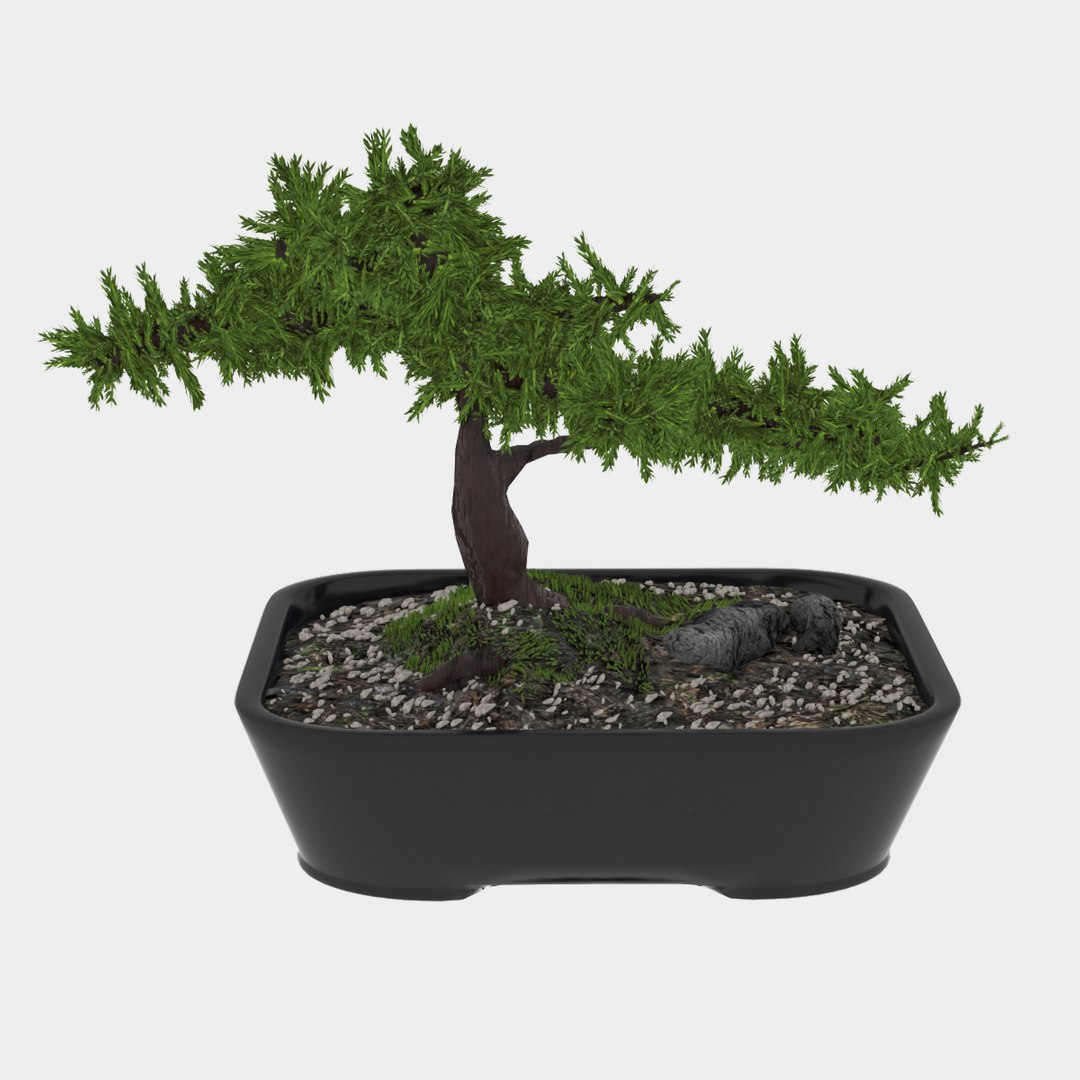 Bonsai model https://p.turbosquid.com/ts-thumb/zH/ebG6dq/Yi/bonsai_search/png/1662318797/1920x1080/fit_q87/1fdbb9ef4c550dfa2409851e3d2dcbf28116e9d4/bonsai_search.jpg