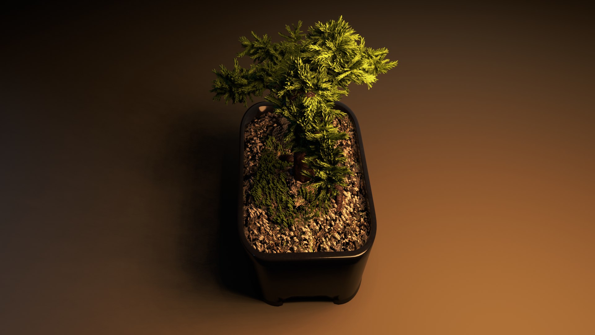 Bonsai model https://p.turbosquid.com/ts-thumb/zH/ebG6dq/no/bonsai1_1/png/1662318859/1920x1080/fit_q87/d3bbe4be9cab076b6160f63f7940b3e18136ace8/bonsai1_1.jpg