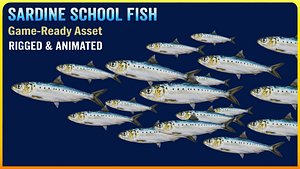 Sardine School Fish
