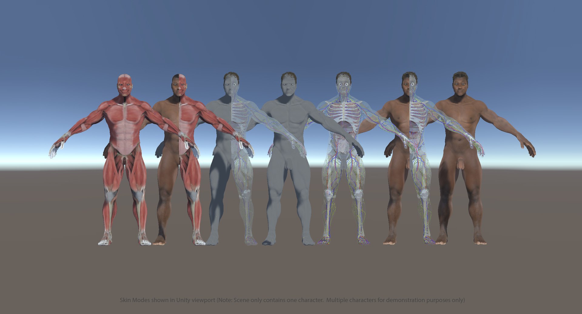 3D ultimate rigged anatomy combo https://p.turbosquid.com/ts-thumb/zH/jhiZwI/4ncFNVdW/unity_am/jpg/1544125912/1920x1080/fit_q87/773ffc1f65667cbf6c51544e1129e6a69836a8a0/unity_am.jpg