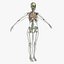 Ultimate Rigged Anatomy Combo1
