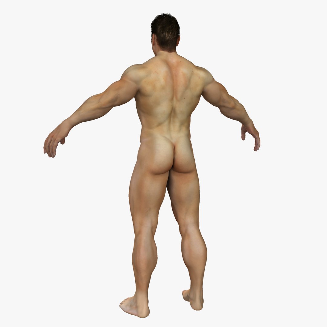 3D ultimate rigged anatomy combo https://p.turbosquid.com/ts-thumb/zH/jhiZwI/9A8RI9NX/3/jpg/1542298956/1920x1080/fit_q87/ce2cd6a1265ef35c5e84a4e5b1c277c1cbd740b0/3.jpg
