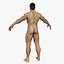 Ultimate Rigged Anatomy Combo1