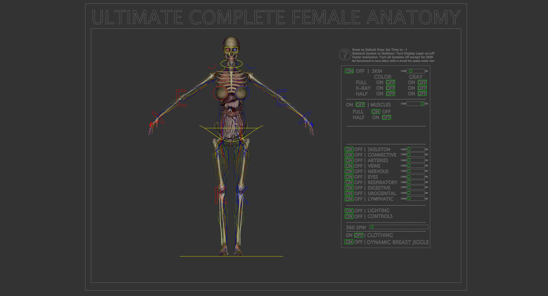 3D ultimate rigged anatomy combo https://p.turbosquid.com/ts-thumb/zH/jhiZwI/9lXjuHwq/blackfemale/jpg/1542732951/1920x1080/turn_fit_q99/fac83ac7c889ab1a3ffe5d18730e3f952f2bd871/blackfemale-1.jpg
