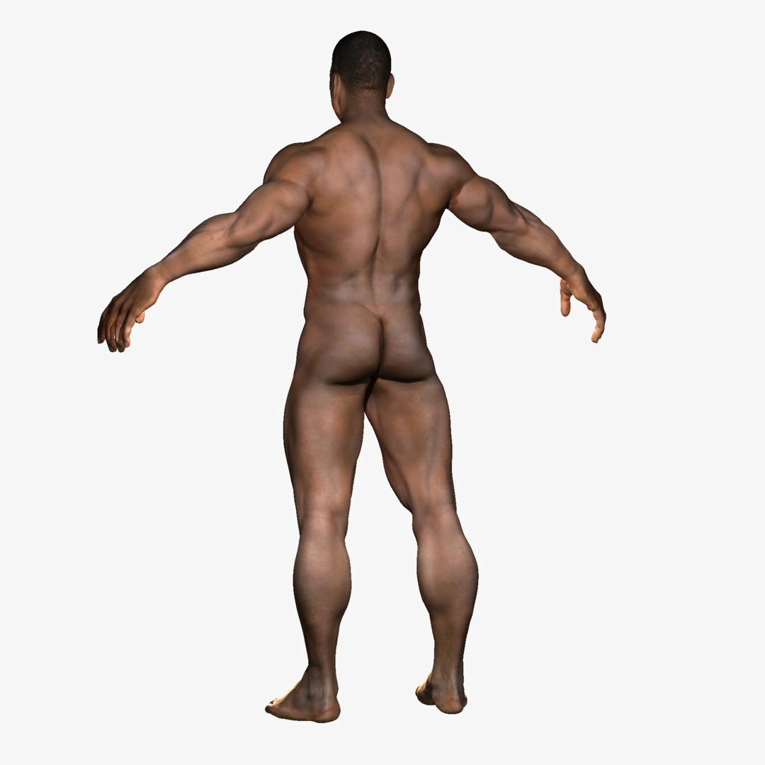 3D ultimate rigged anatomy combo https://p.turbosquid.com/ts-thumb/zH/jhiZwI/B6YTCEHd/029_02/jpg/1542216436/1920x1080/fit_q87/7429a0039cf32f65f7871d00cd248d4d1fe03a99/029_02.jpg
