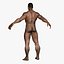 Ultimate Rigged Anatomy Combo1