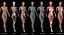 Ultimate Rigged Anatomy Combo1