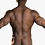 Ultimate Rigged Anatomy Combo1