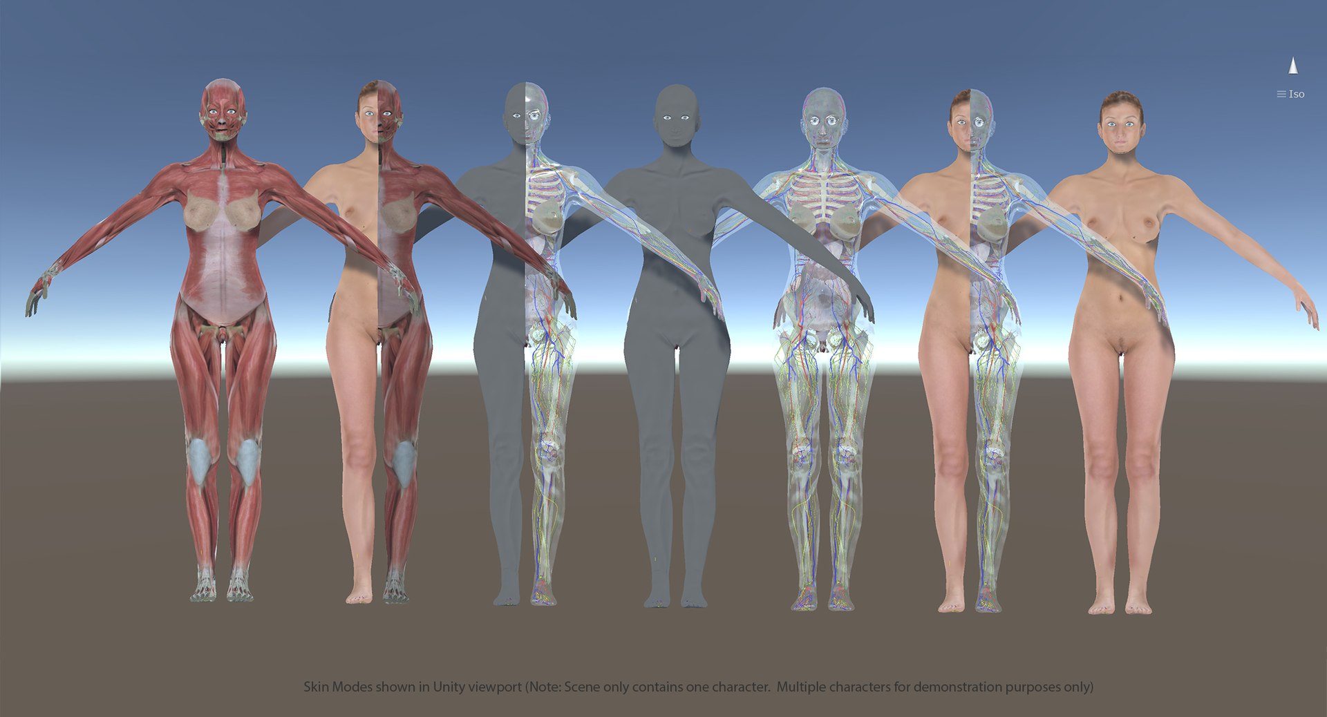 3D ultimate rigged anatomy combo https://p.turbosquid.com/ts-thumb/zH/jhiZwI/PePXfDYg/unityskinmodes_cf/jpg/1544140893/1920x1080/fit_q87/3ae24e7d705b11f6a80a2aa161152f465a00df89/unityskinmodes_cf.jpg