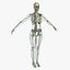 Ultimate Rigged Anatomy Combo1