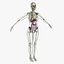 Ultimate Rigged Anatomy Combo1