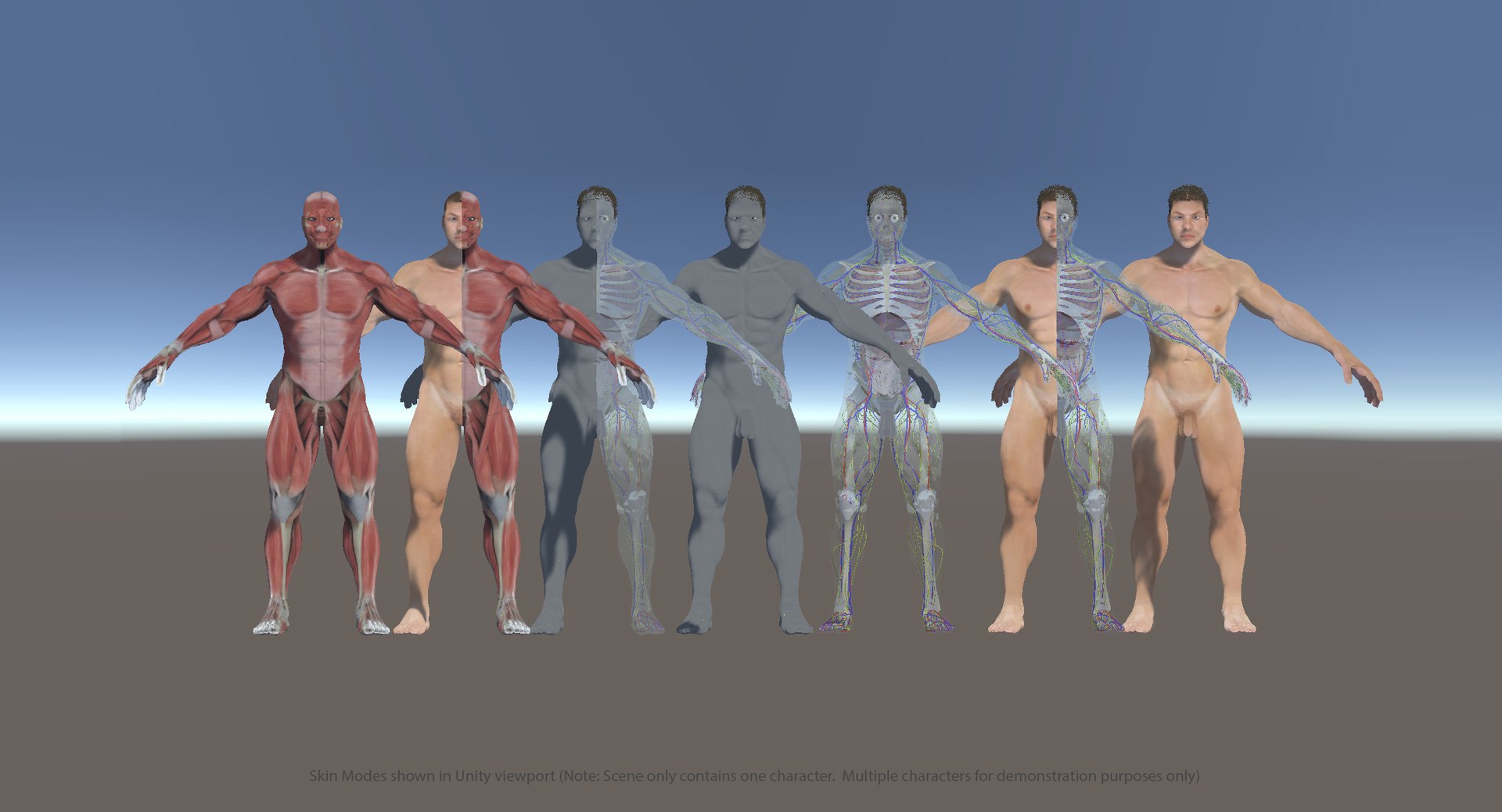 3D ultimate rigged anatomy combo https://p.turbosquid.com/ts-thumb/zH/jhiZwI/Ze2Ucxpw/unity_cm/jpg/1544125931/1920x1080/fit_q87/59348cf30d0c16a5419035764b507b0e26412a77/unity_cm.jpg