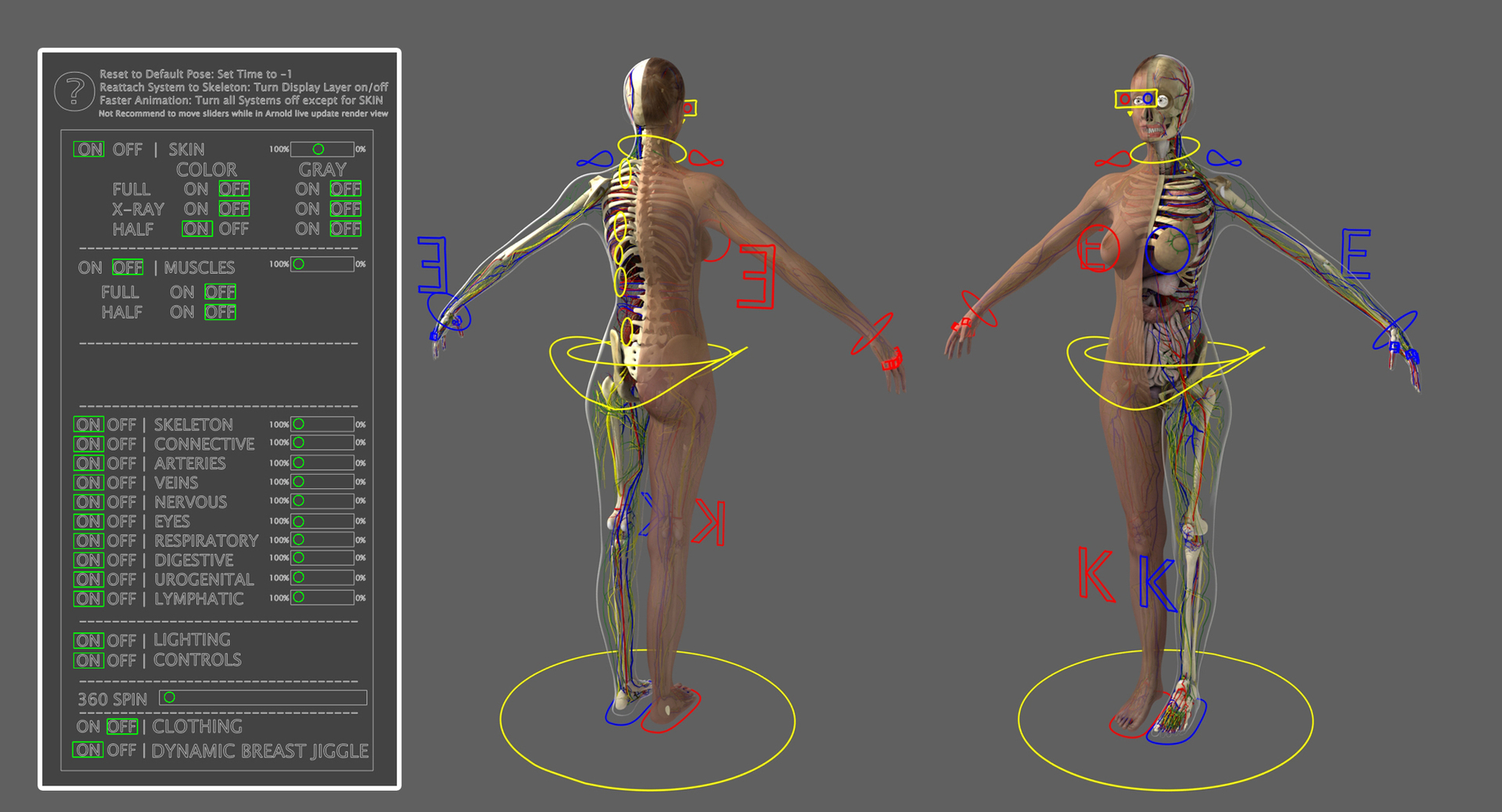 3D ultimate rigged anatomy combo - TurboSquid 1346703