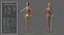 Ultimate Rigged Anatomy Combo1
