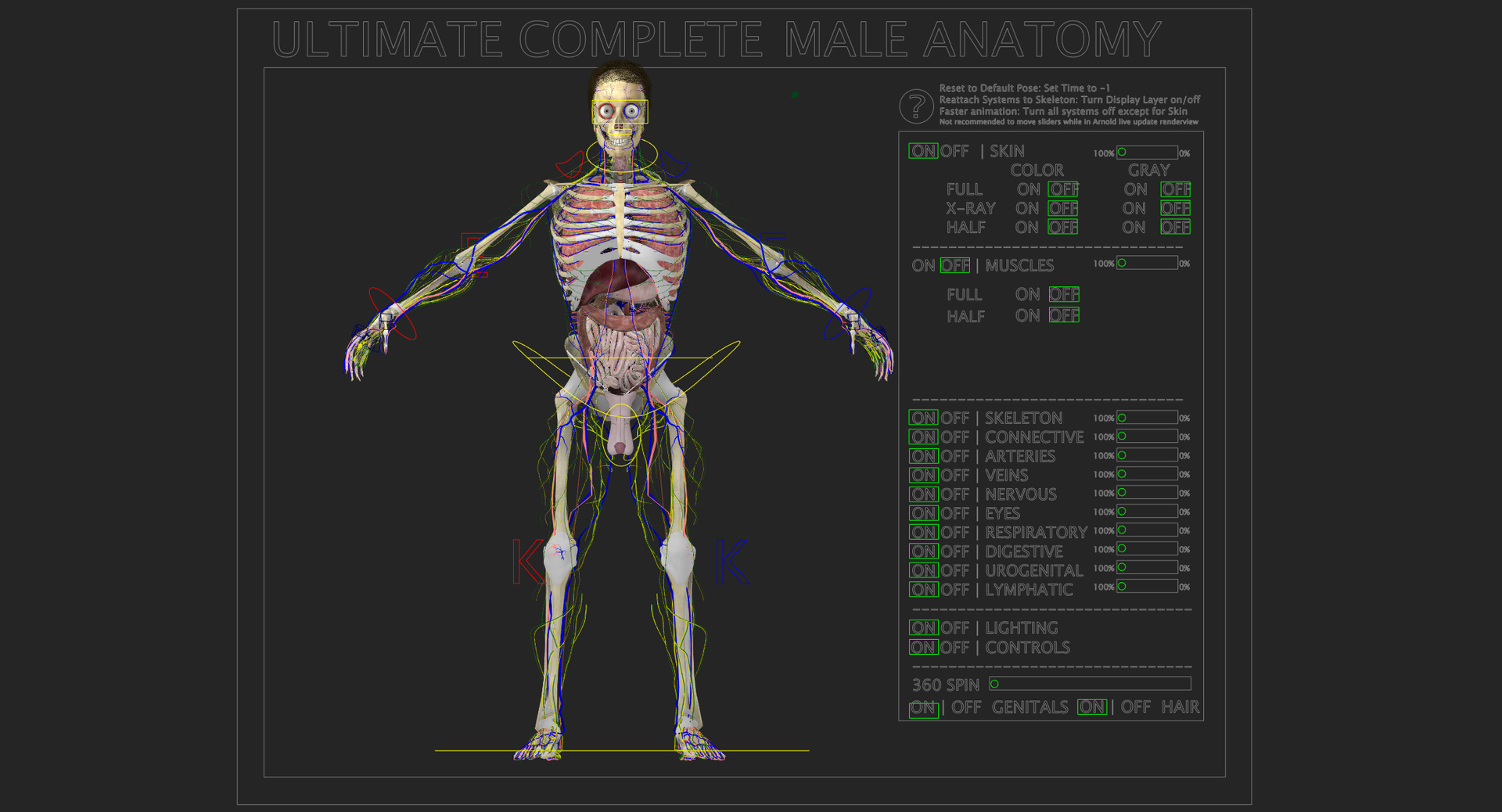 3D ultimate rigged anatomy combo https://p.turbosquid.com/ts-thumb/zH/jhiZwI/iOJJMCpm/rigmaleblack/jpg/1542655407/1920x1080/turn_fit_q99/ffb0440c42294b11c99d52ae9ce038e91c446c30/rigmaleblack-1.jpg