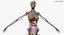 Ultimate Rigged Anatomy Combo1