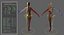 Ultimate Rigged Anatomy Combo1