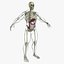 Ultimate Rigged Anatomy Combo1