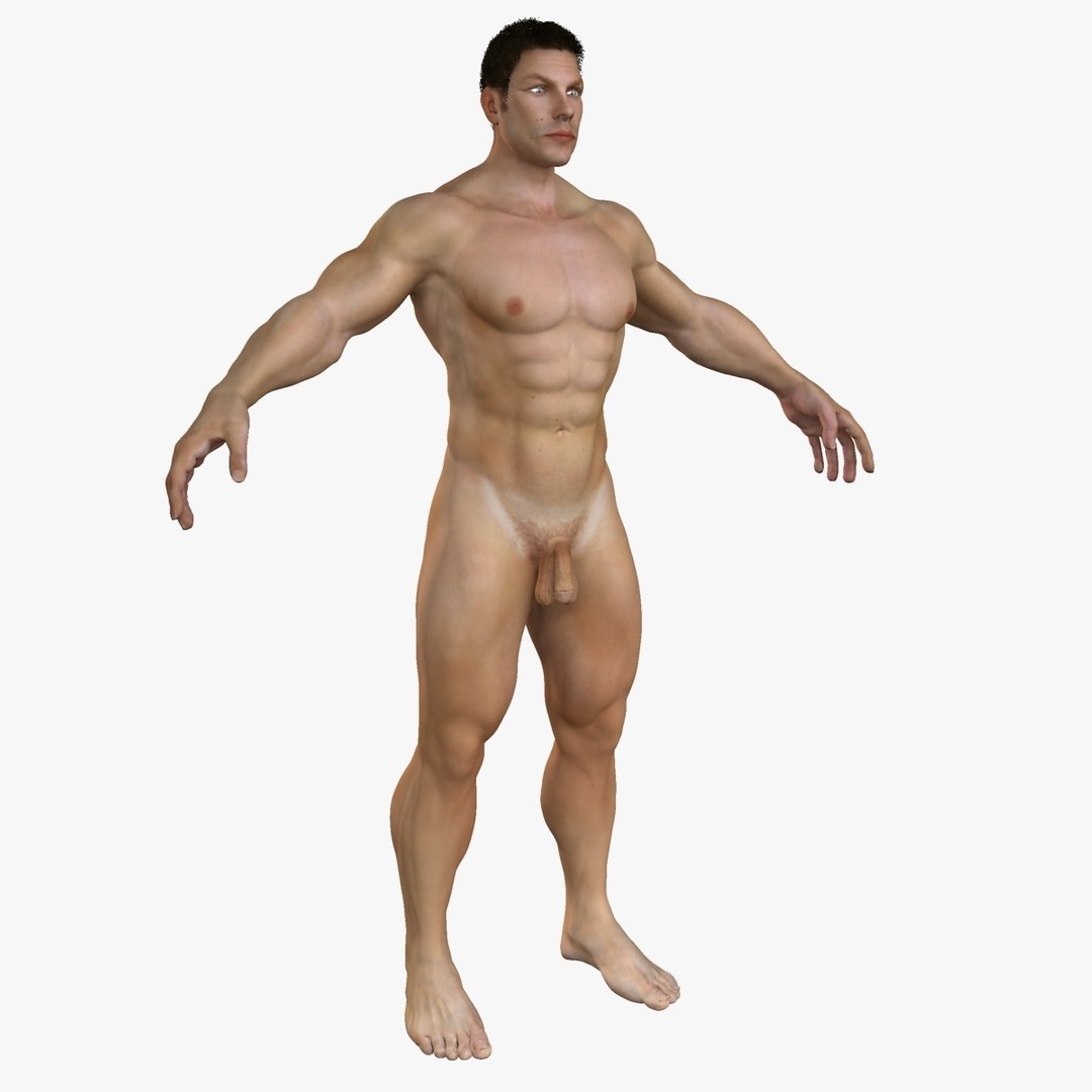 3D ultimate rigged anatomy combo https://p.turbosquid.com/ts-thumb/zH/jhiZwI/pHzDOBbe/2/jpg/1542298956/1920x1080/fit_q87/a0295d1d8c5446b6065237640d24b4f625bb5174/2.jpg