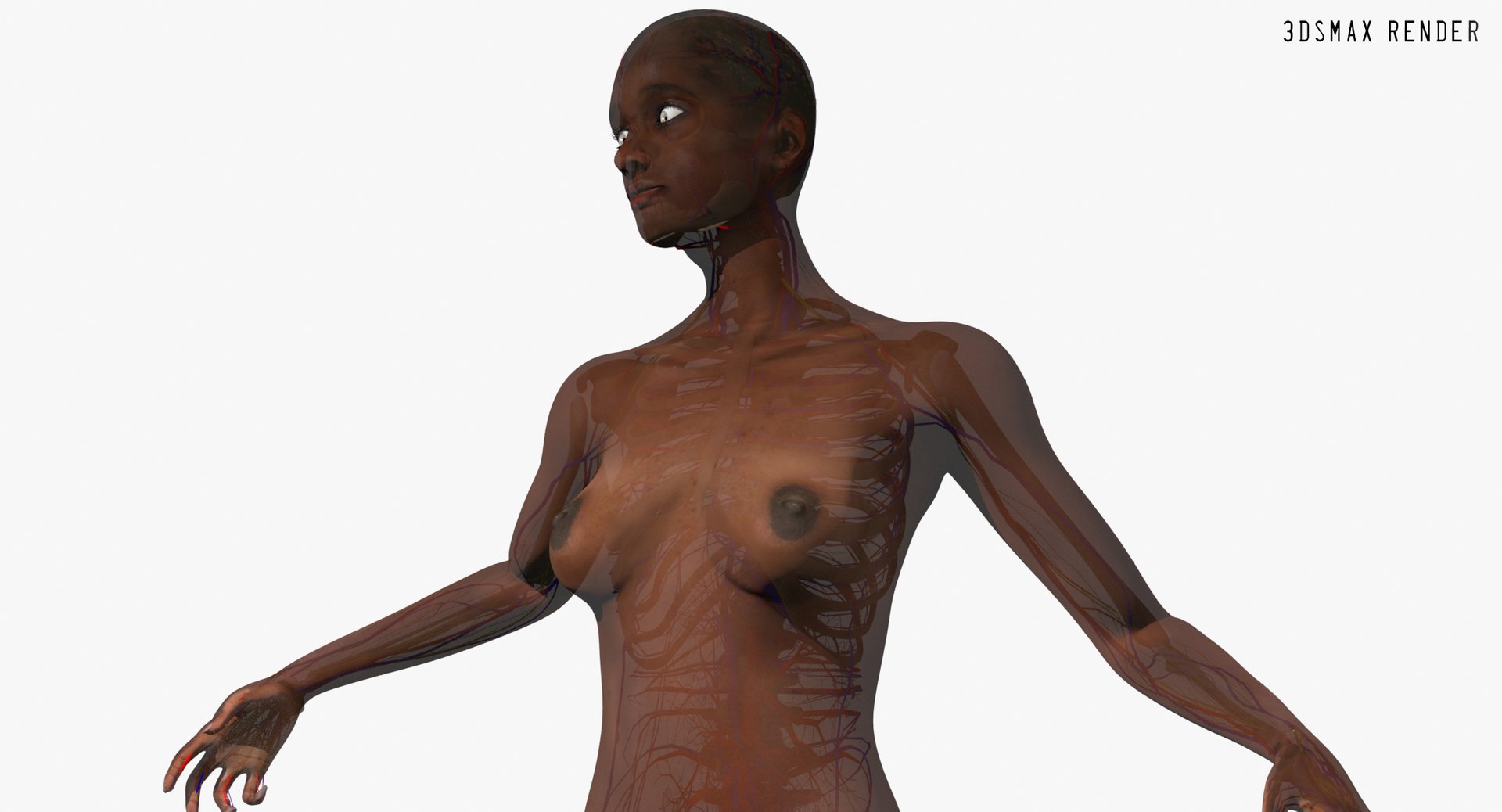 3D ultimate rigged anatomy combo https://p.turbosquid.com/ts-thumb/zH/jhiZwI/pJHx2f0n/max_004/jpg/1566325958/1920x1080/fit_q87/e0dde2dc2193f85467e344d2c0db9f8fc706eae5/max_004.jpg