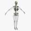 Ultimate Rigged Anatomy Combo1