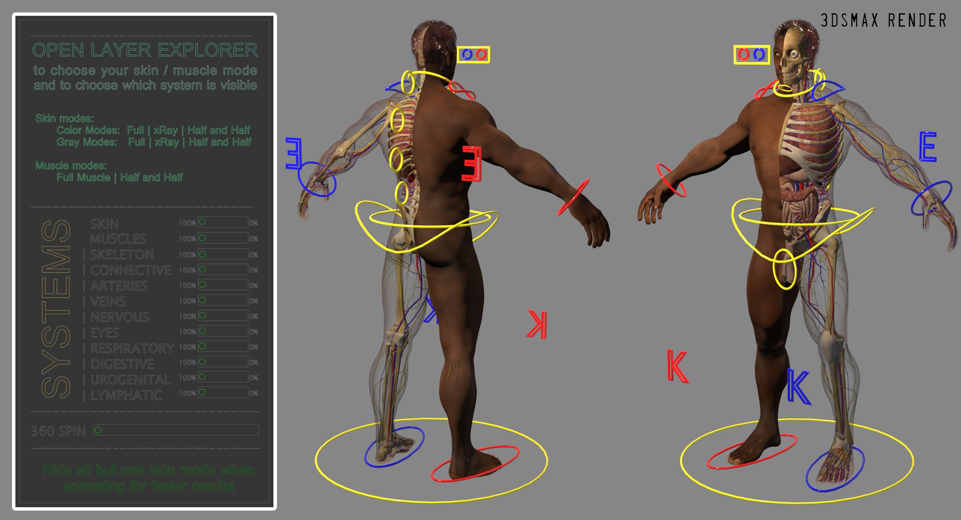 3D ultimate rigged anatomy combo https://p.turbosquid.com/ts-thumb/zH/jhiZwI/uFSktRWm/blacknew_rig/jpg/1566325726/1920x1080/fit_q87/71fe7327c465c5dc4acddf245e338a3107a08d23/blacknew_rig.jpg